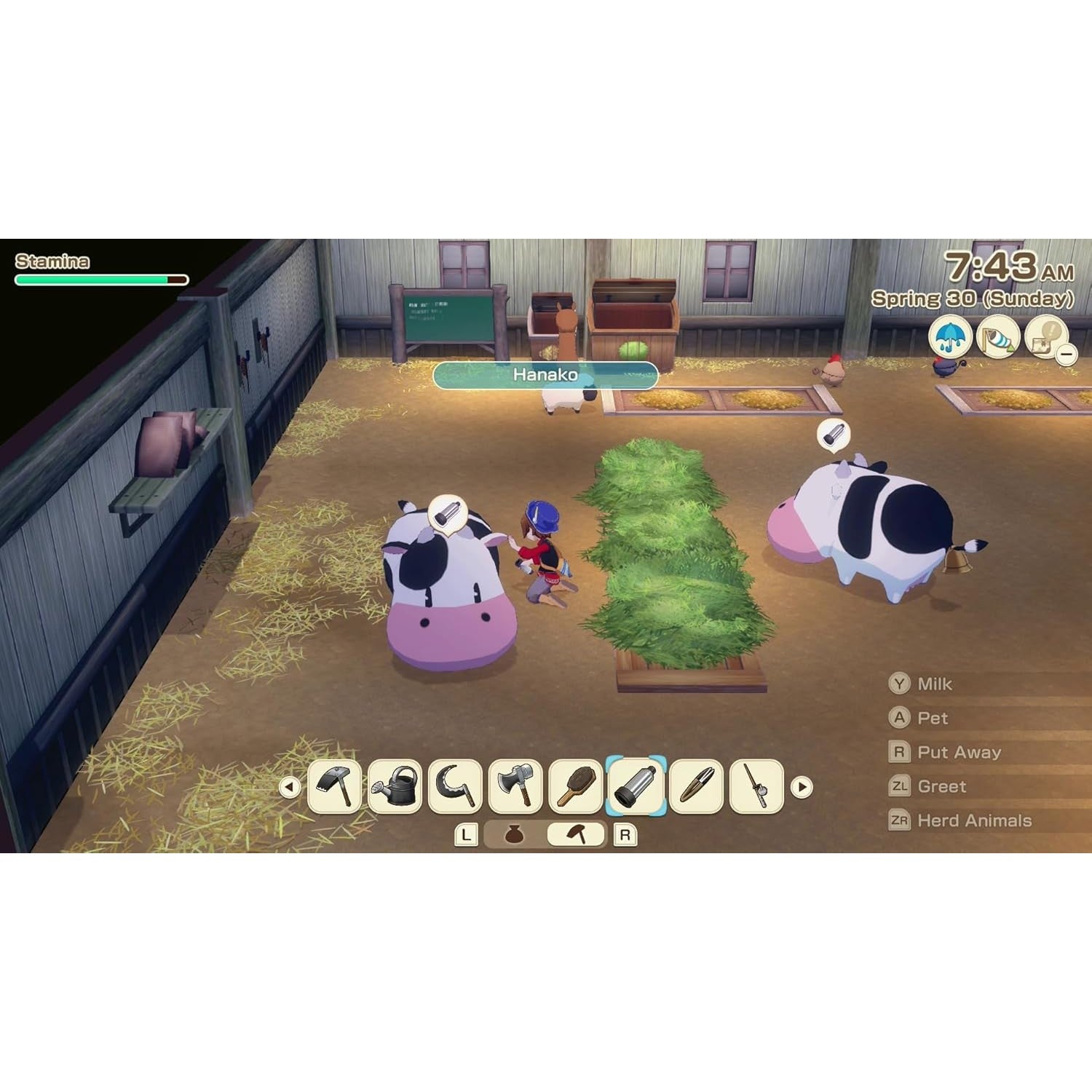 STORY OF SEASONS: Grand Bazaar - Nintendo Switch - Xseed Games