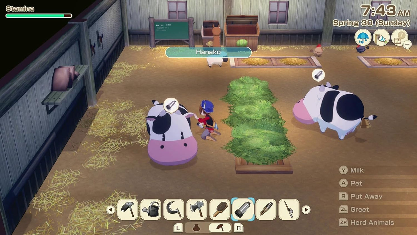 Story of Seasons: Grand Bazaar Premium Edition - Nintendo Switch - XSEED Games