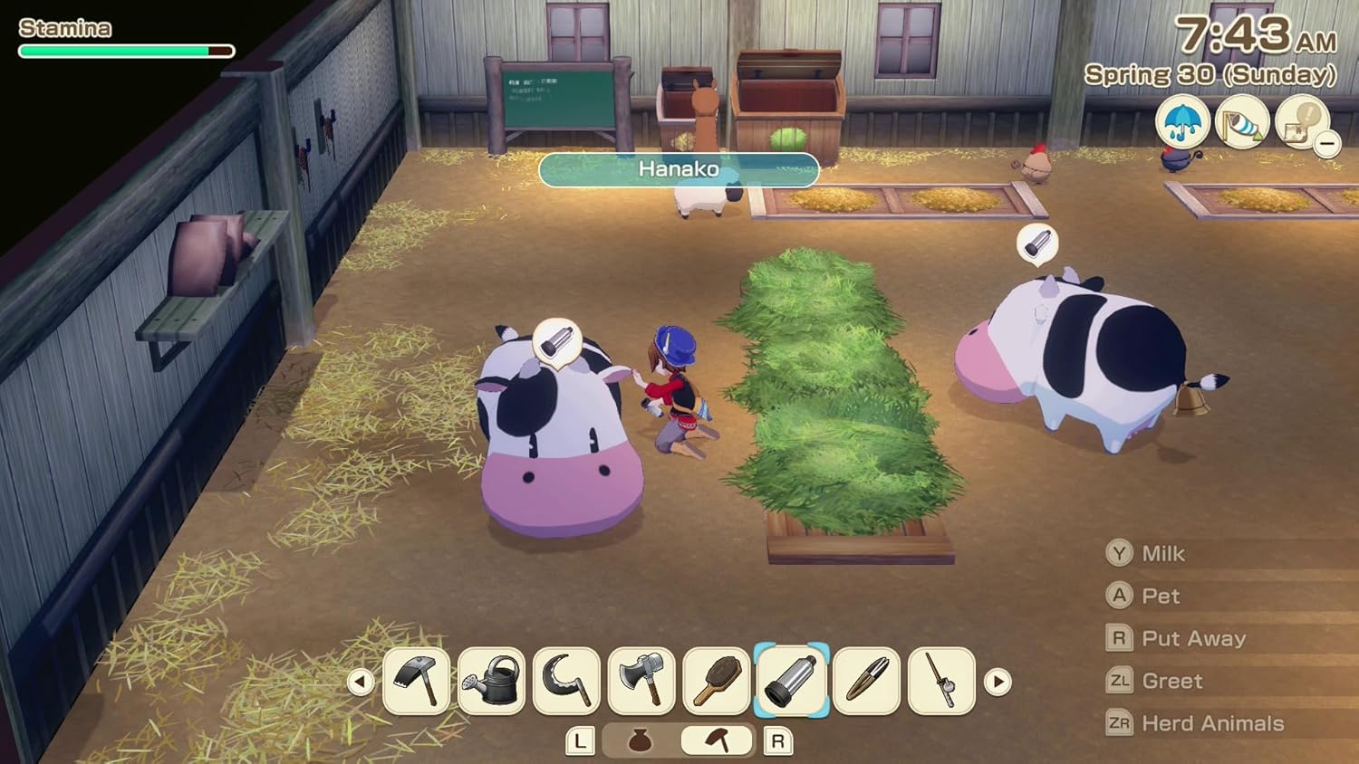 Story of Seasons: Grand Bazaar Premium Edition - Nintendo Switch - XSEED Games