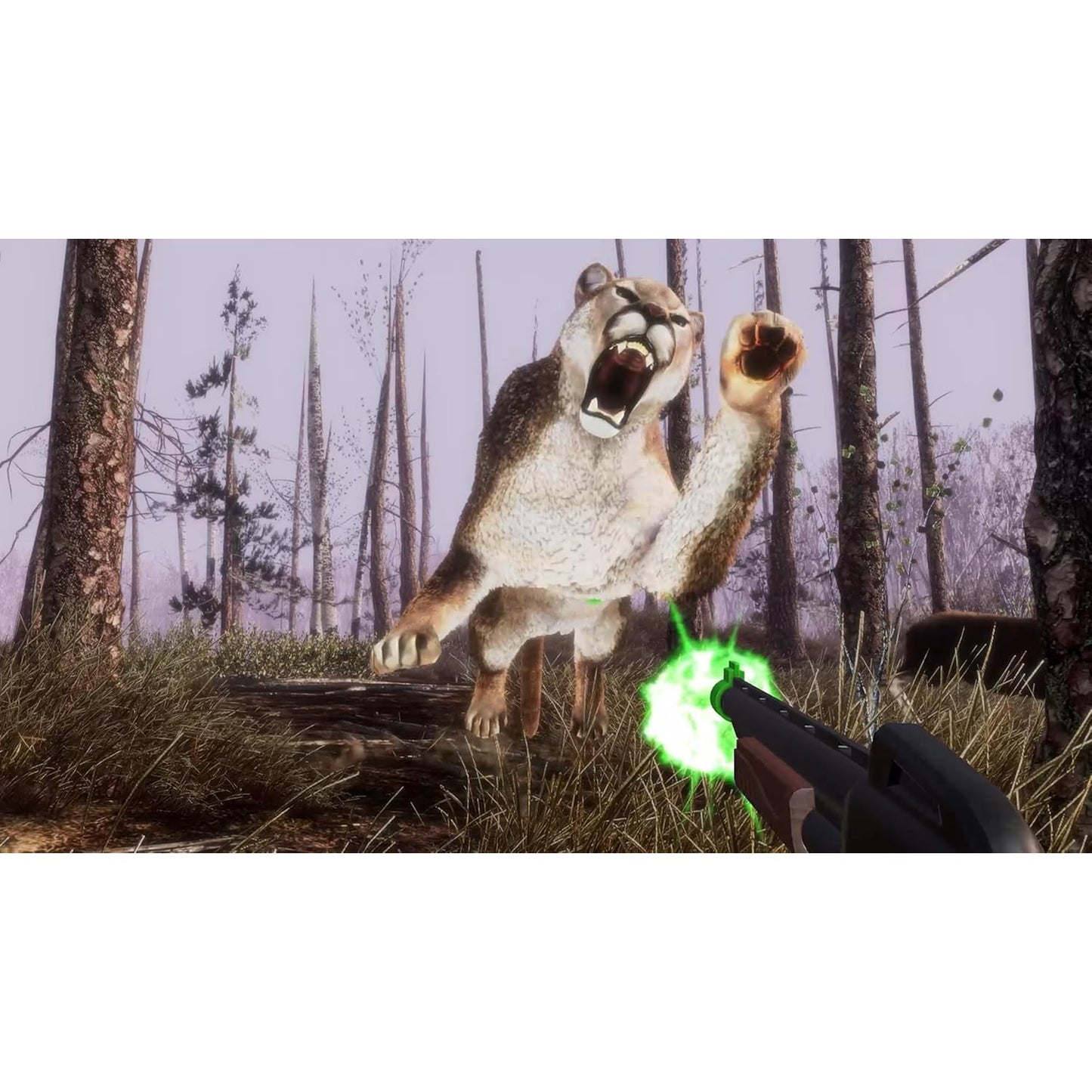 Big Buck Hunter: Ultimate Trophy - Nintendo Switch - Game Mill