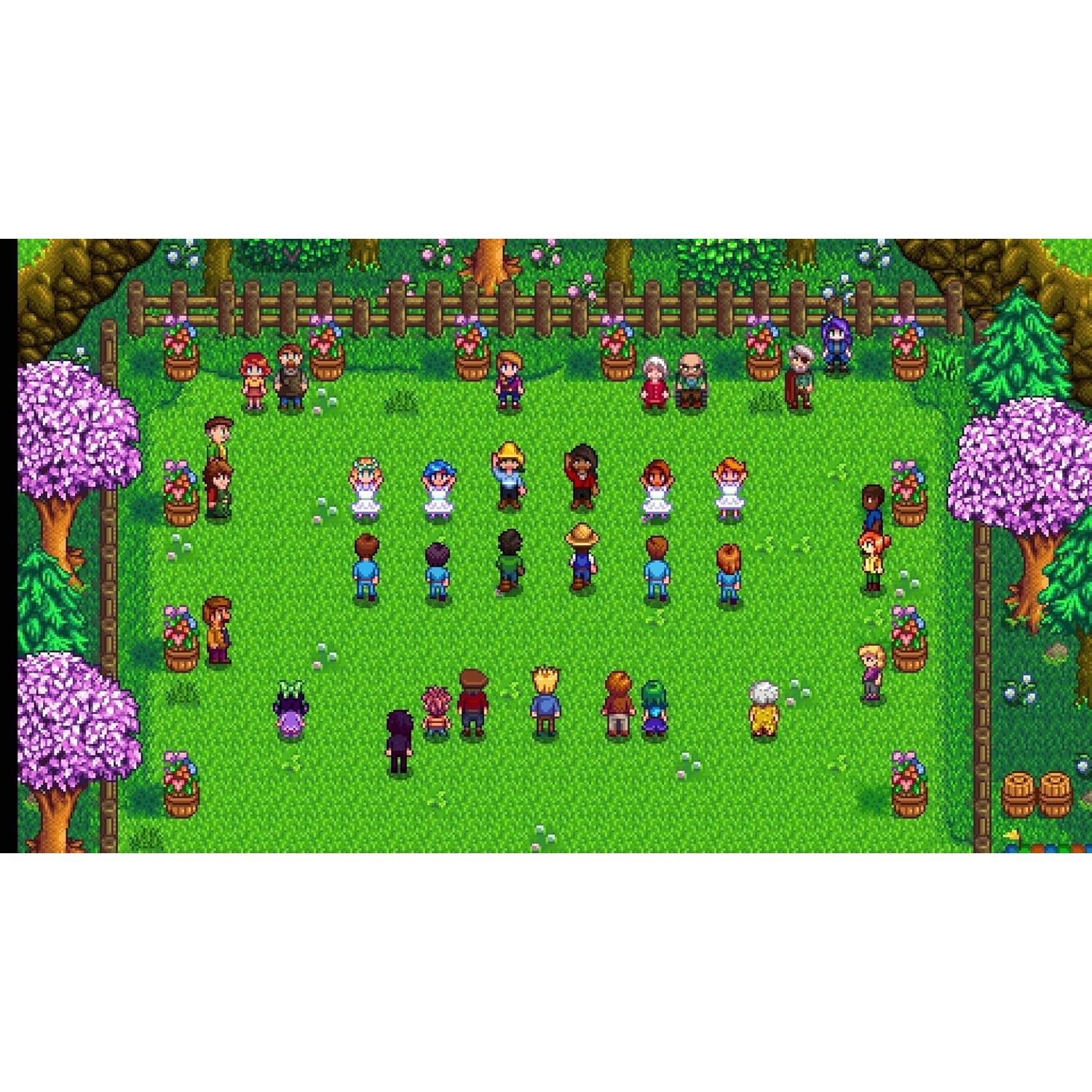 Stardew Valley - Nintendo Switch - Fangamer