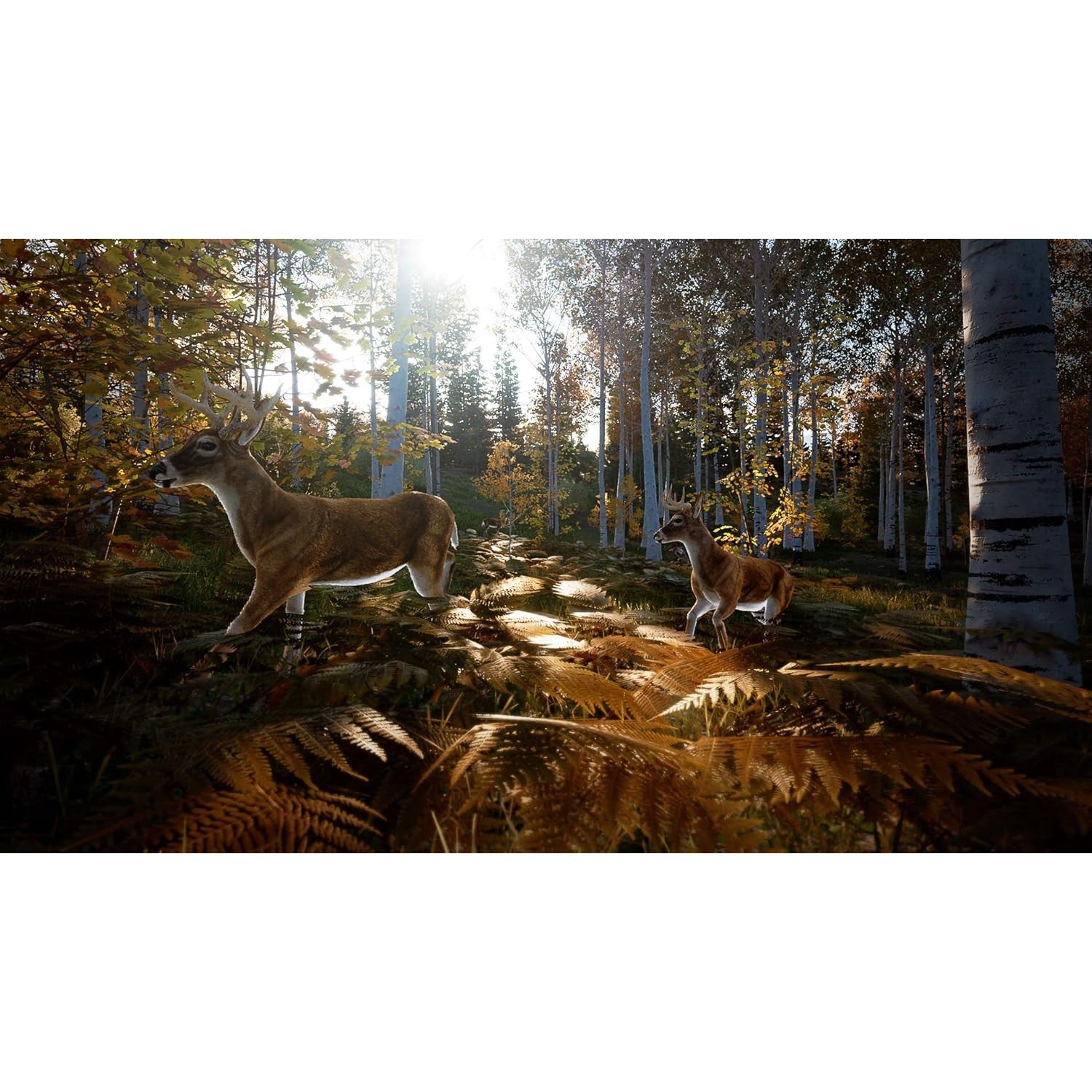 Hunting Simulator 2 - Nintendo Switch - Maximum Games