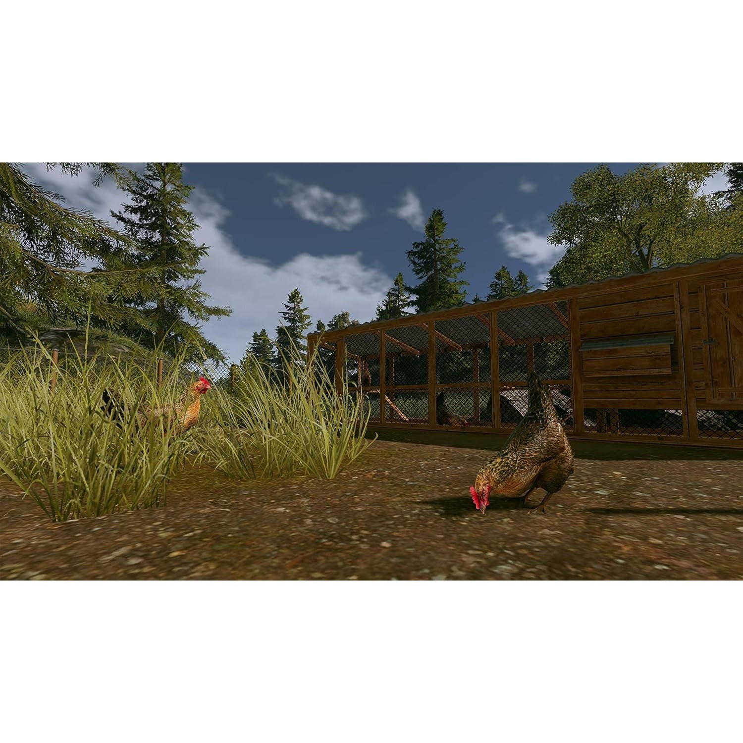 Real Farm: Premium Edition - Nintendo Switch - Soedesco Store