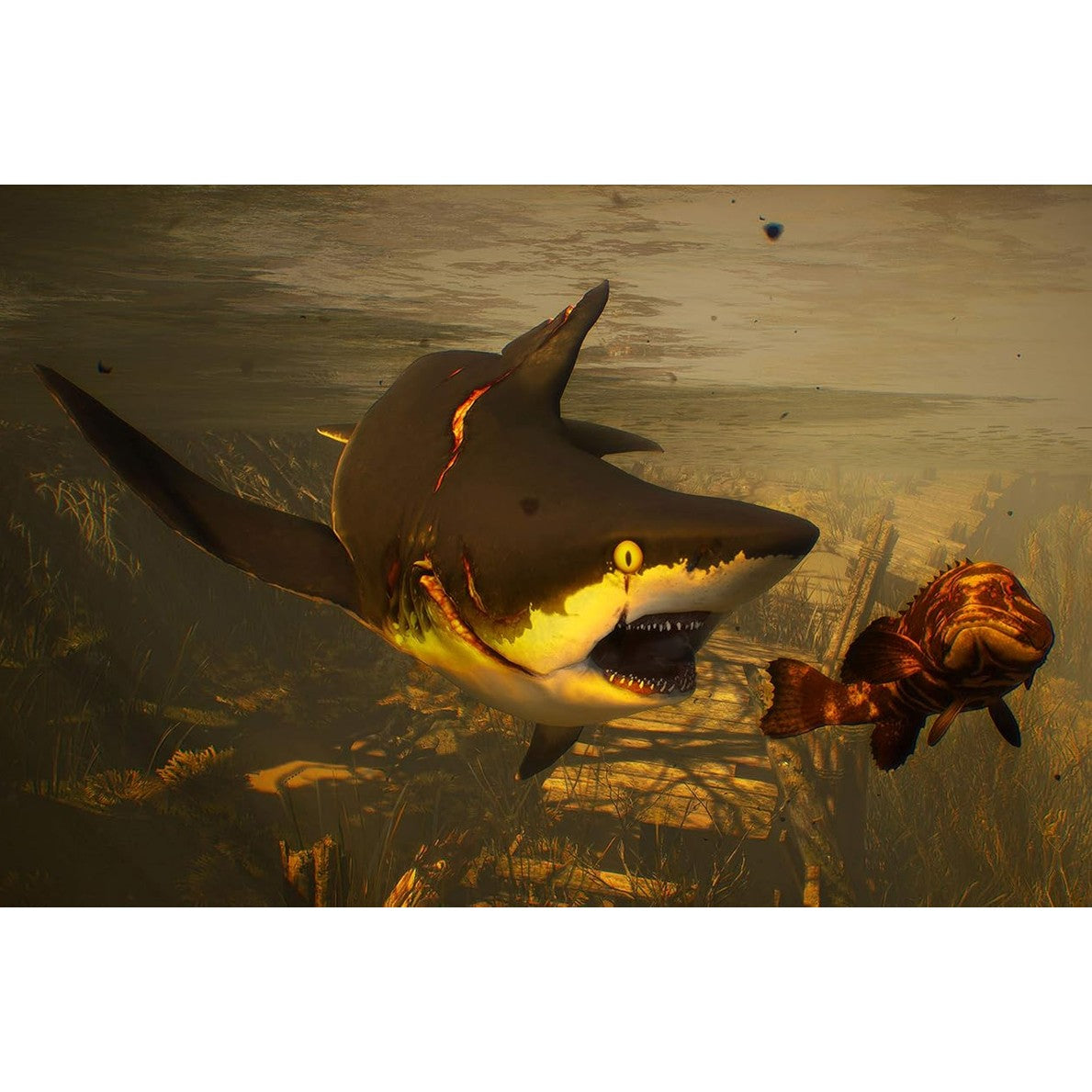 Maneater - PlayStation 4 - Deep Silver