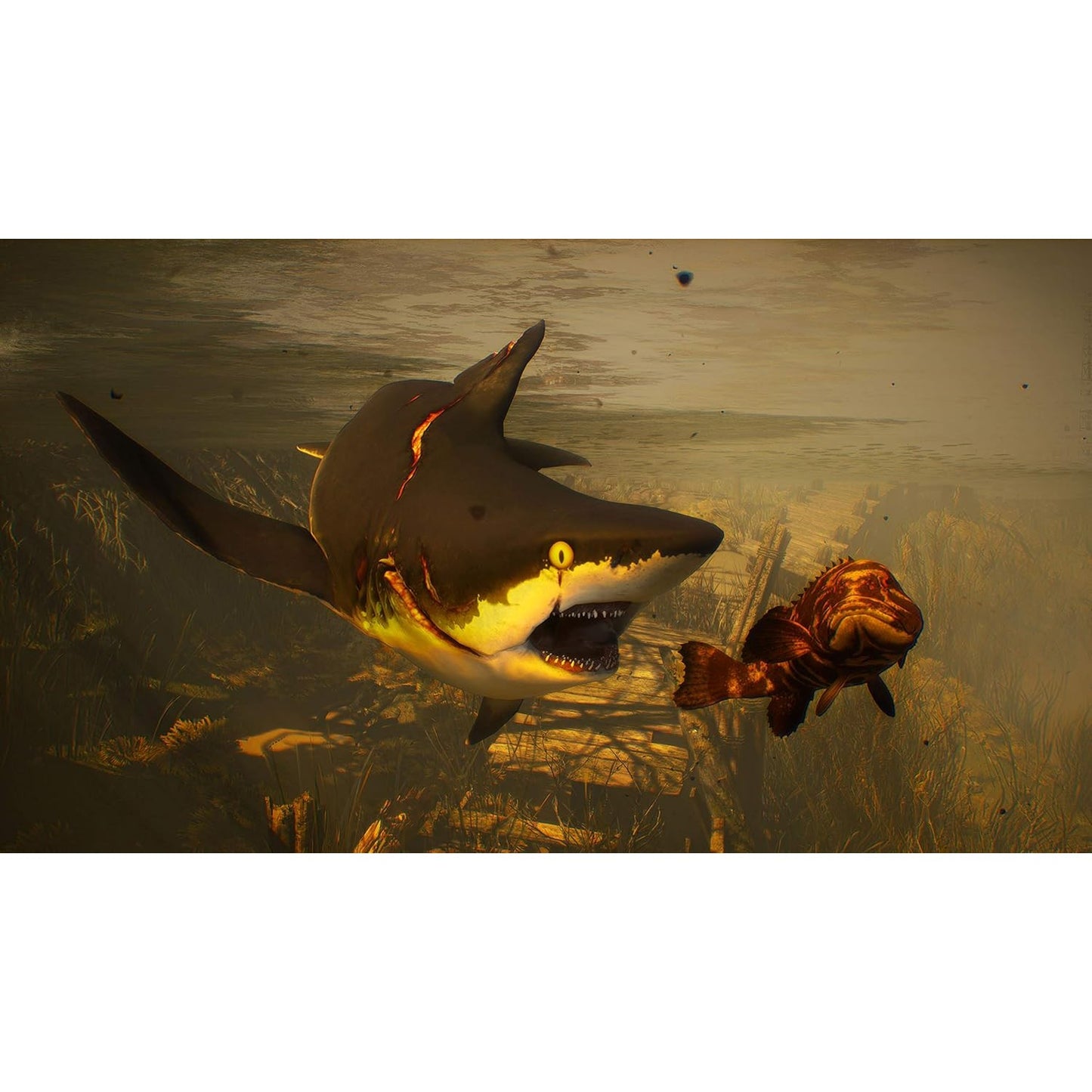 Maneater - PlayStation 5 - Deep Silver