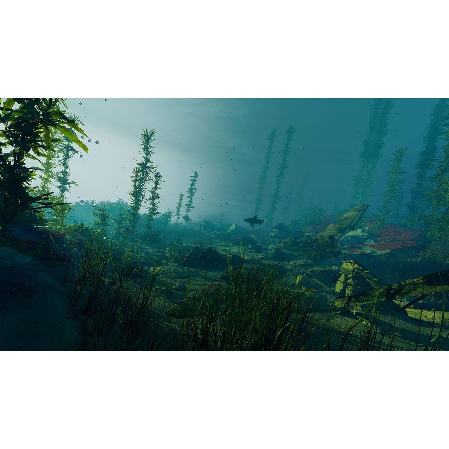 Maneater - Xbox Series X