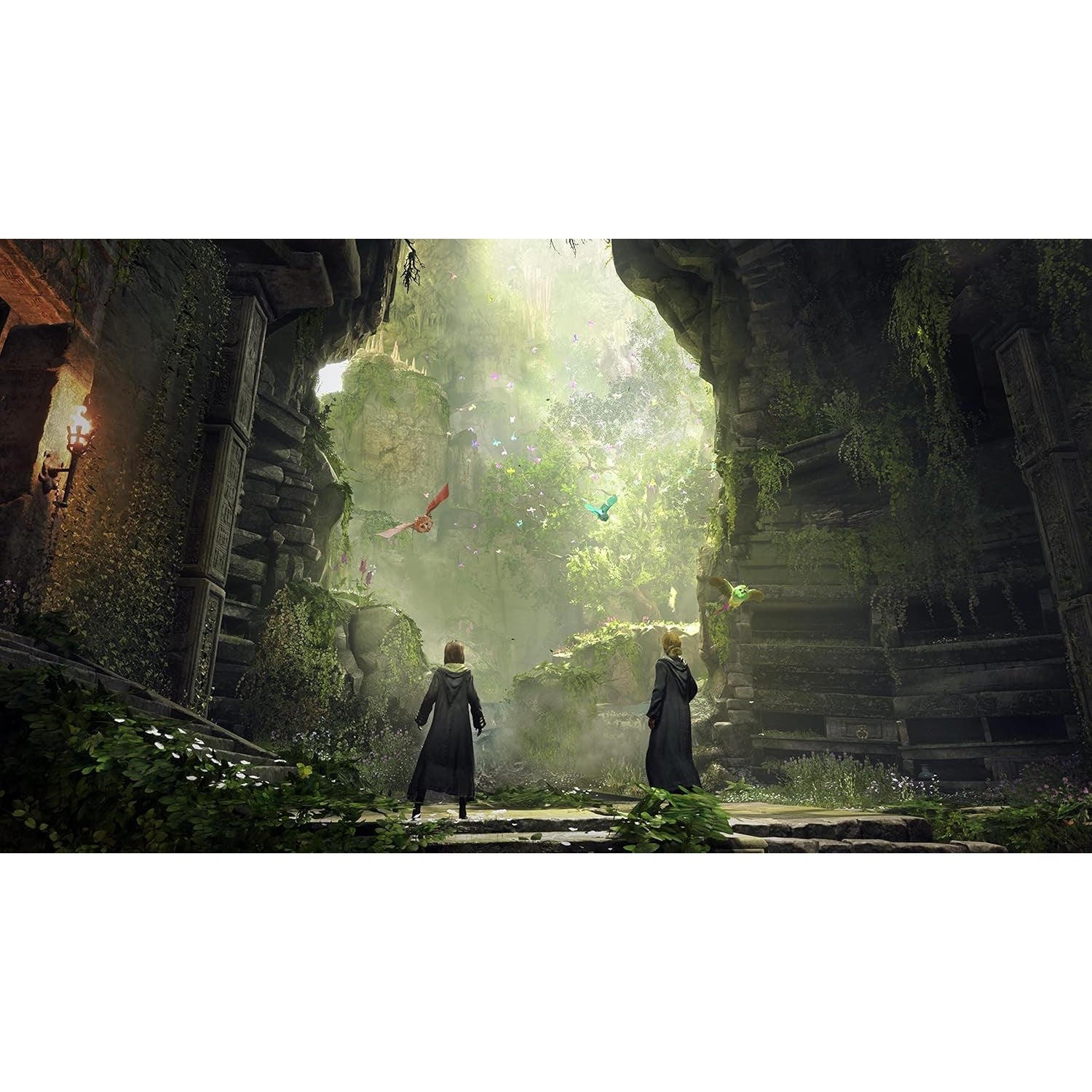Hogwarts Legacy - Nintendo Switch