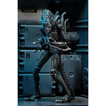 Aliens (1986) Ultimate Warrior Blue Alien 7" Scale Action Figure - NECA