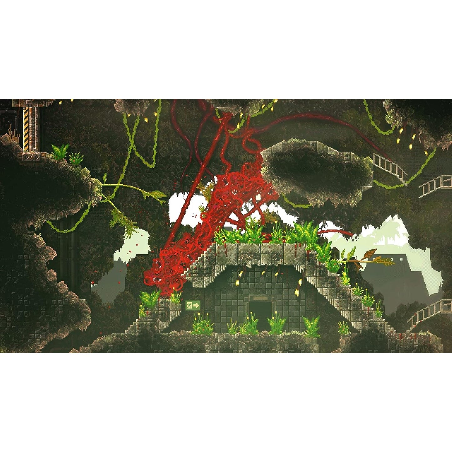 Carrion - Nintendo Switch - Devolver Digital