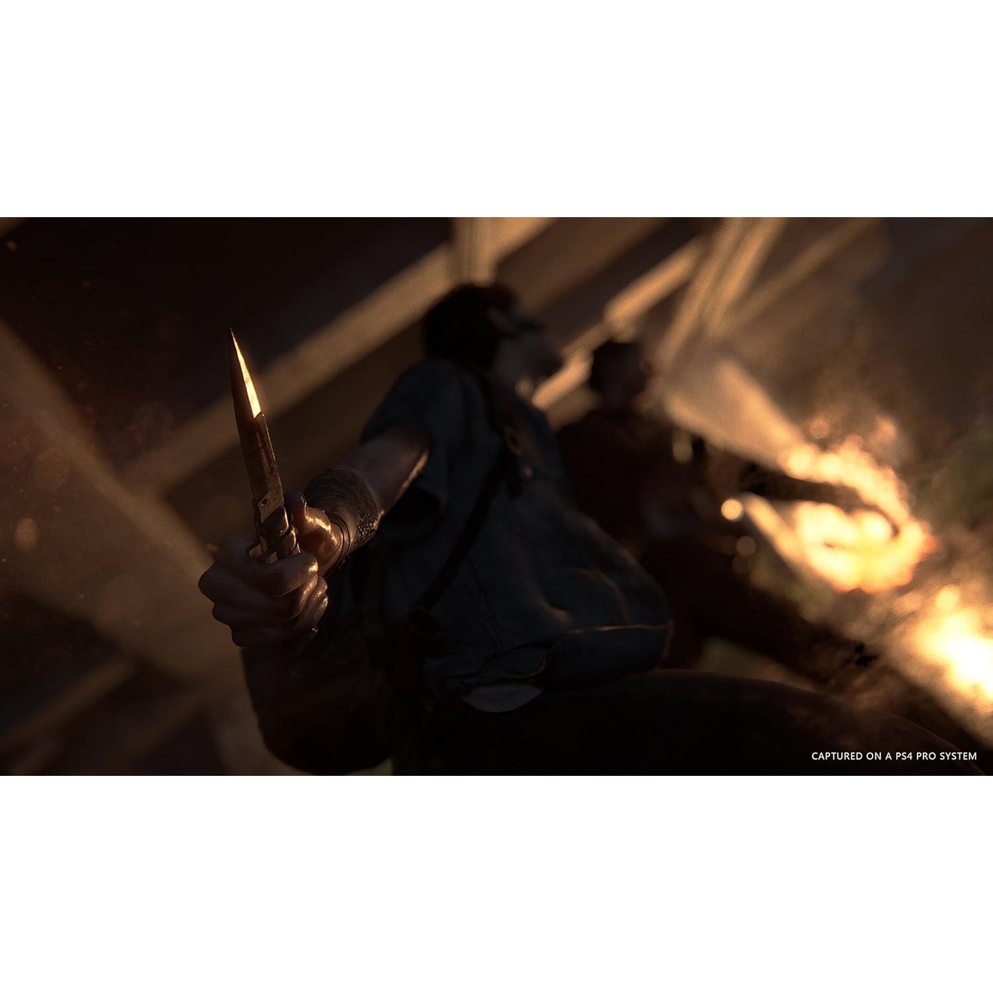 The Last of Us Part II Collector's Edition - PlayStation 5, PlayStation 4