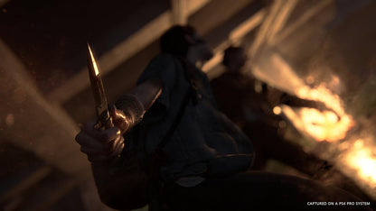 The Last of Us Part II - PlayStation 4 - Sony Computer Entertainment