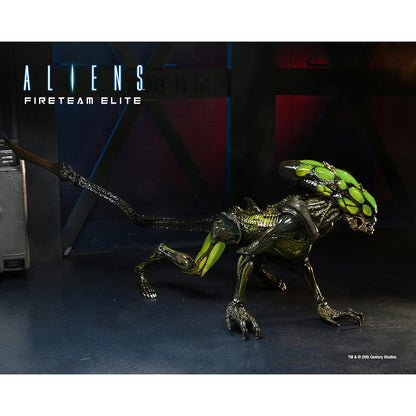 Aliens Fireteam Elite Burster Alien Action Figure - NECA