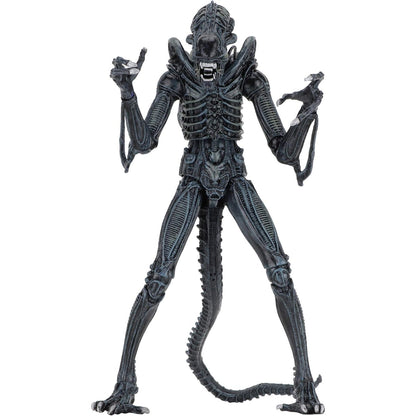 Aliens (1986) Ultimate Warrior Blue Alien 7" Scale Action Figure - NECA