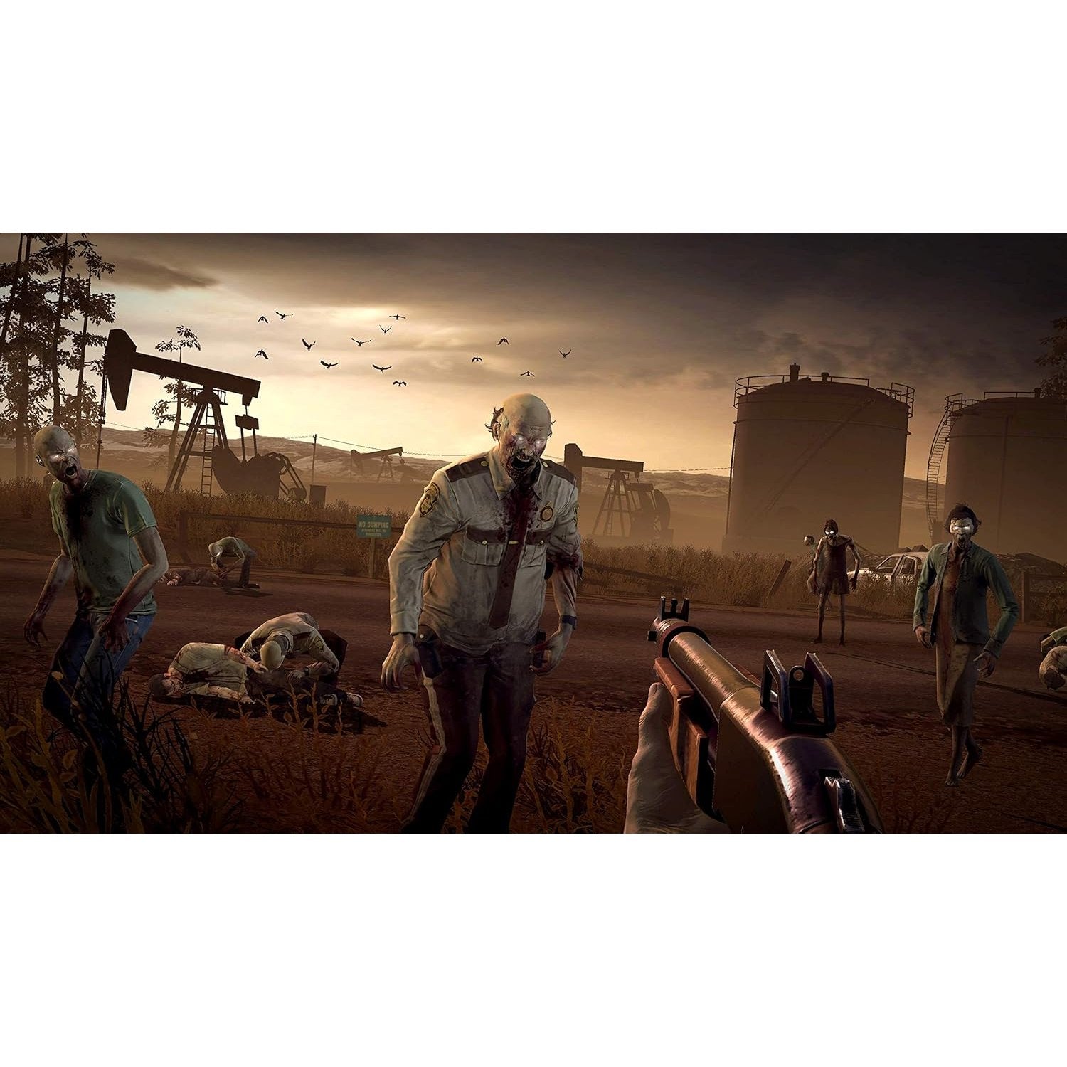 Into the Dead 2 - Nintendo Switch - Gearbox Publishing
