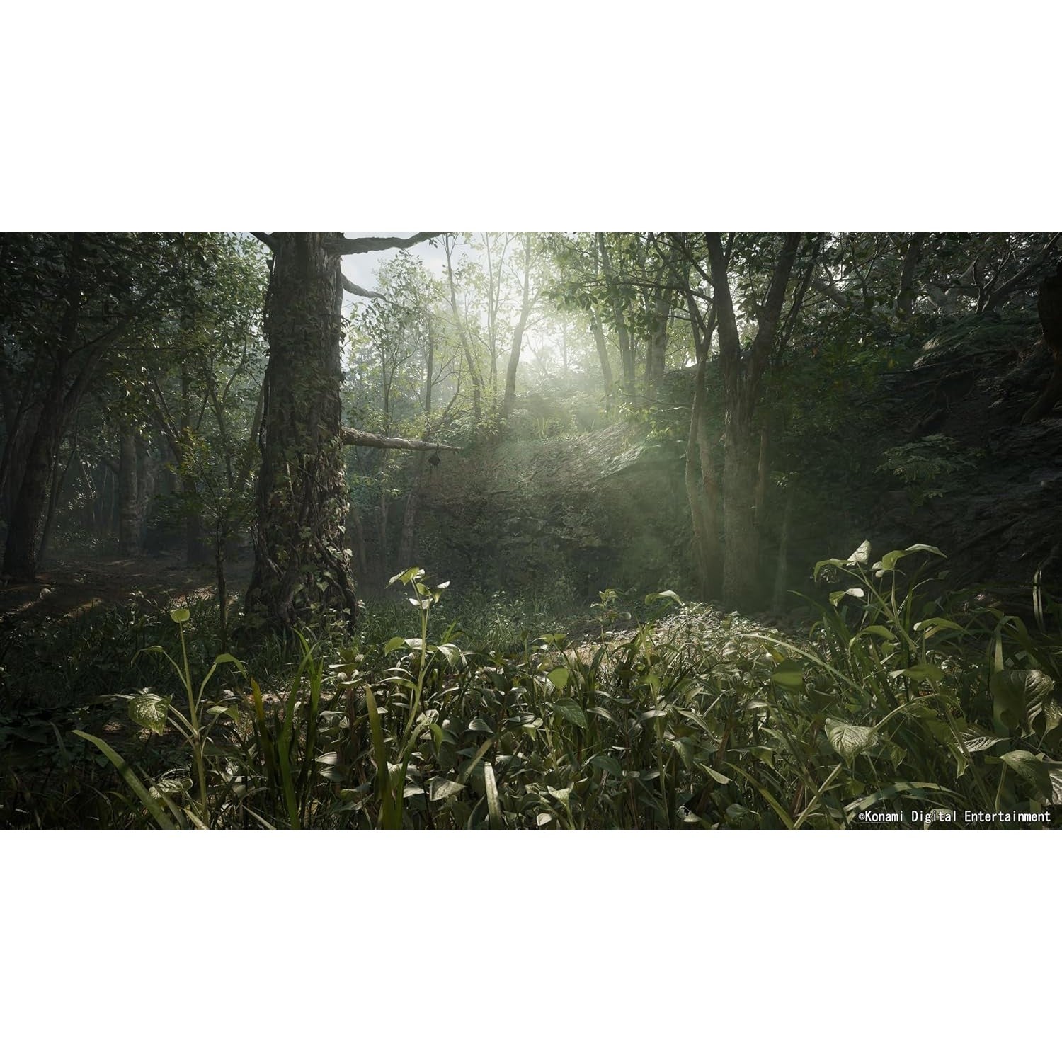 Metal Gear Solid Delta: Snake Eater Tactical Edition - Xbox Series X - Konami