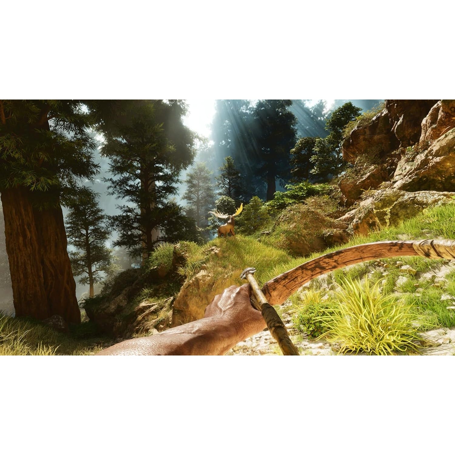 ARK: Survival Ascended - PlayStation 5 - Studio Wildcard