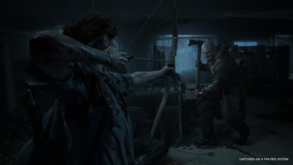 The Last of Us Part II - PlayStation 4 - Sony Computer Entertainment