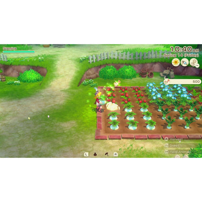 STORY OF SEASONS: Grand Bazaar - Nintendo Switch - Xseed Games