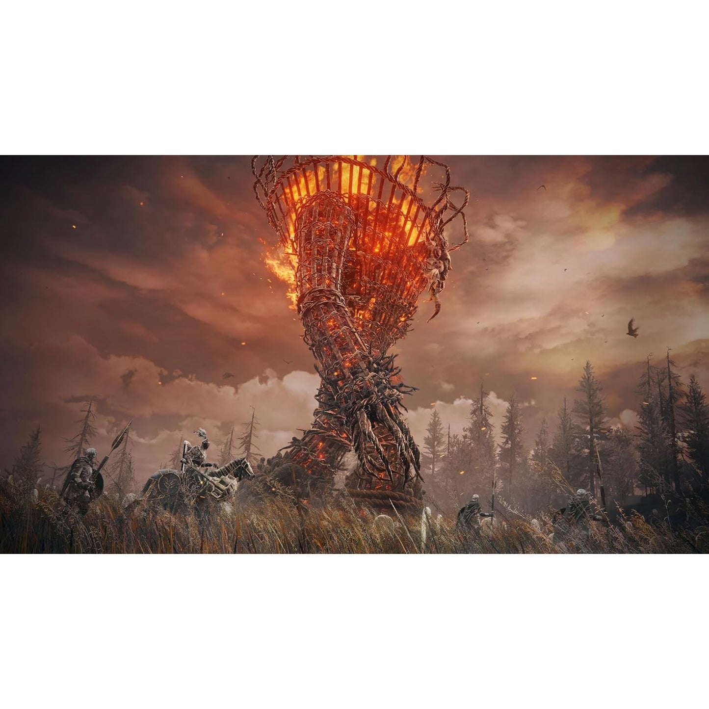 Elden Ring: Shadow of the Erdtree Edition - Xbox Series X - Bandai Namco