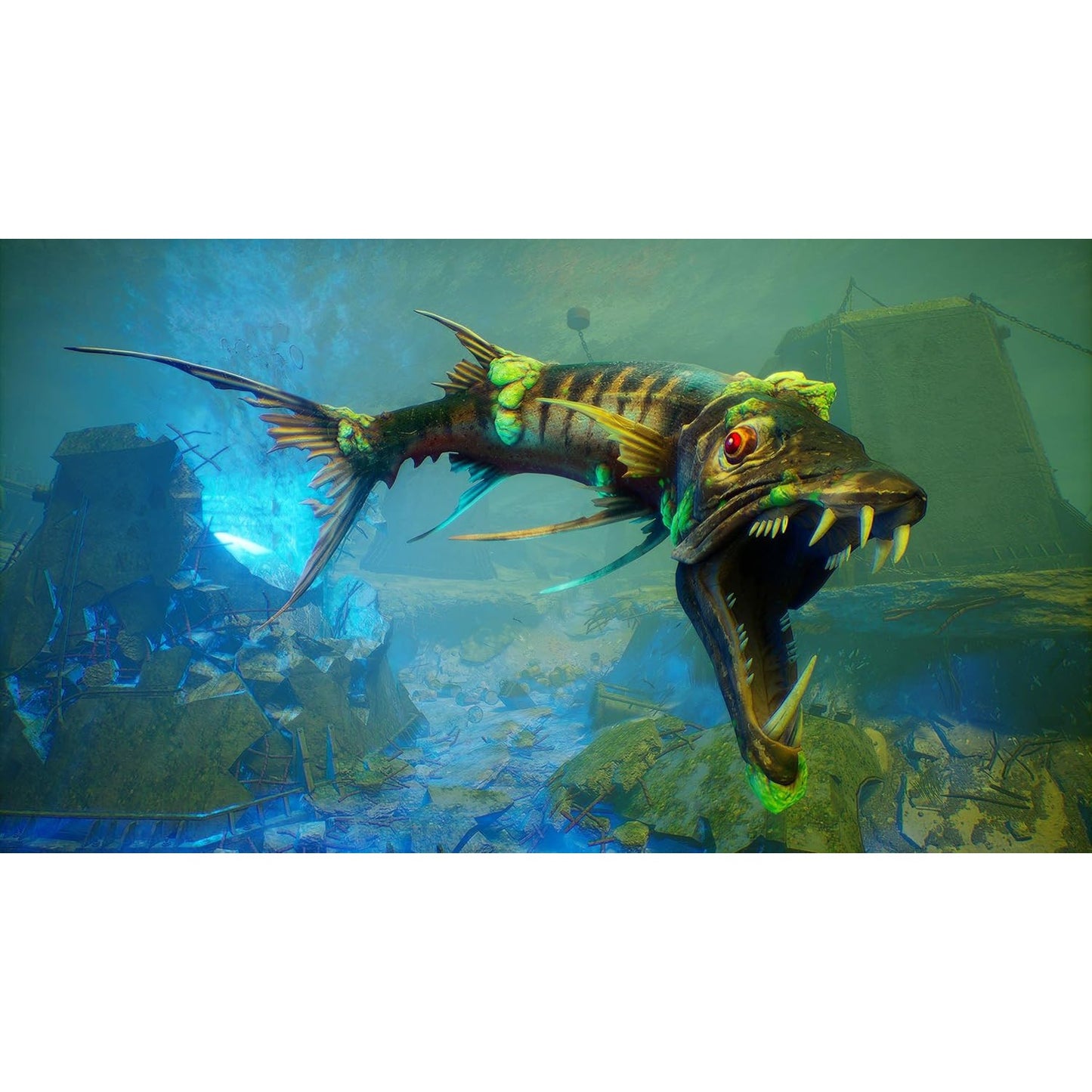 Maneater - PlayStation 5 - Deep Silver