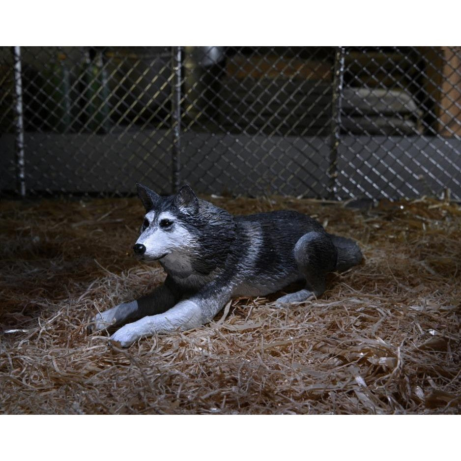 The Thing 1982 Ultimate Dog Creature Set - NECA