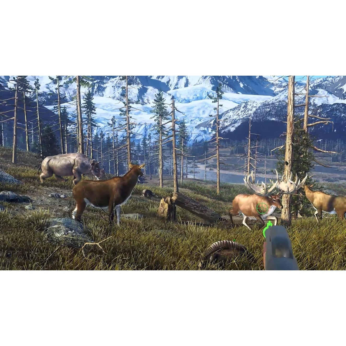 Big Buck Hunter: Ultimate Trophy - Nintendo Switch - Game Mill
