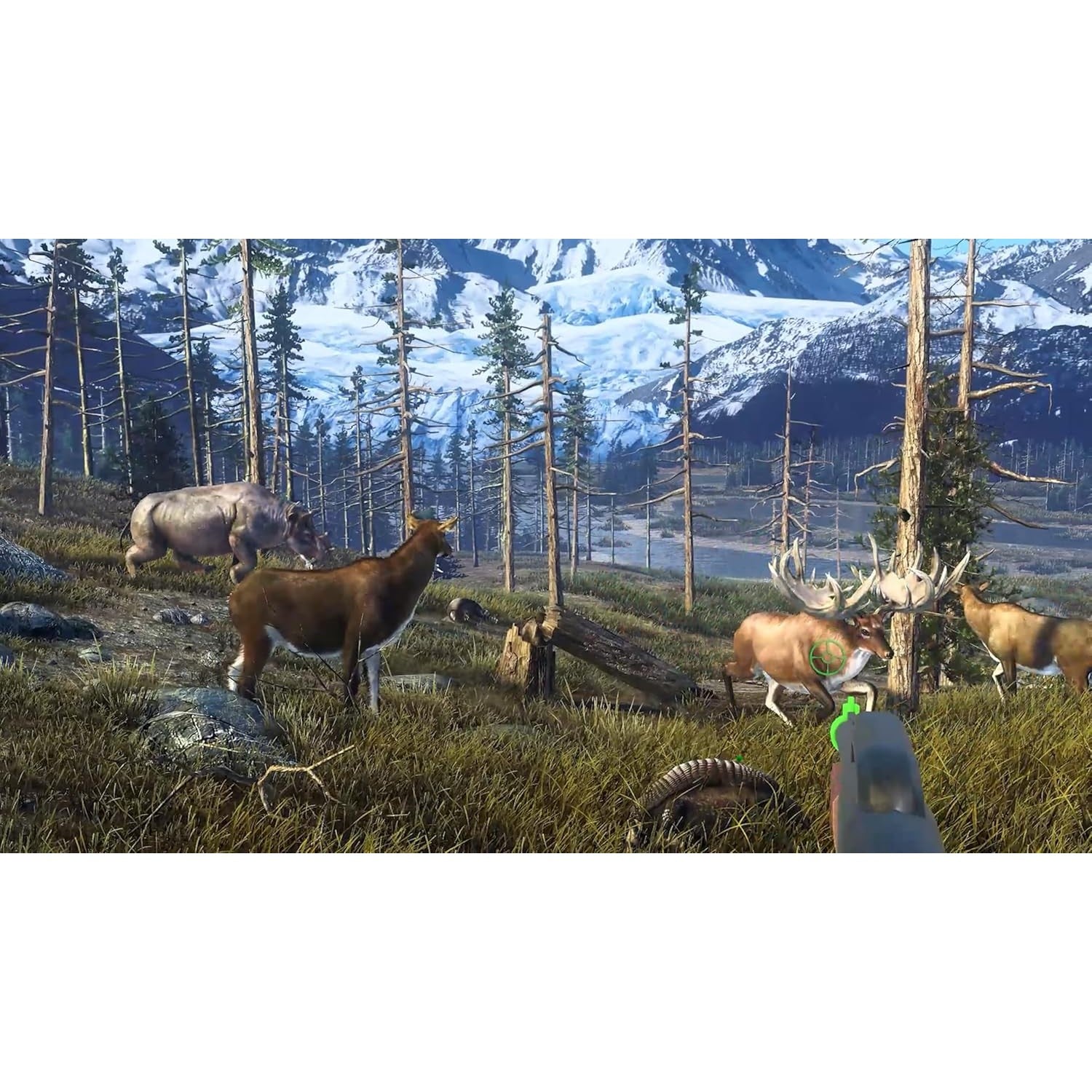 Big Buck Hunter: Ultimate Trophy - Nintendo Switch - Game Mill