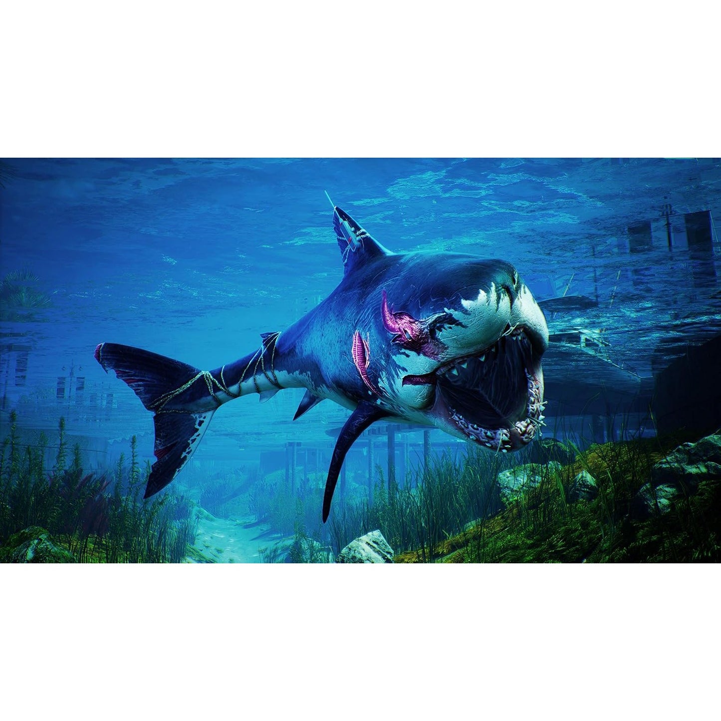 Maneater - PlayStation 5 - Deep Silver