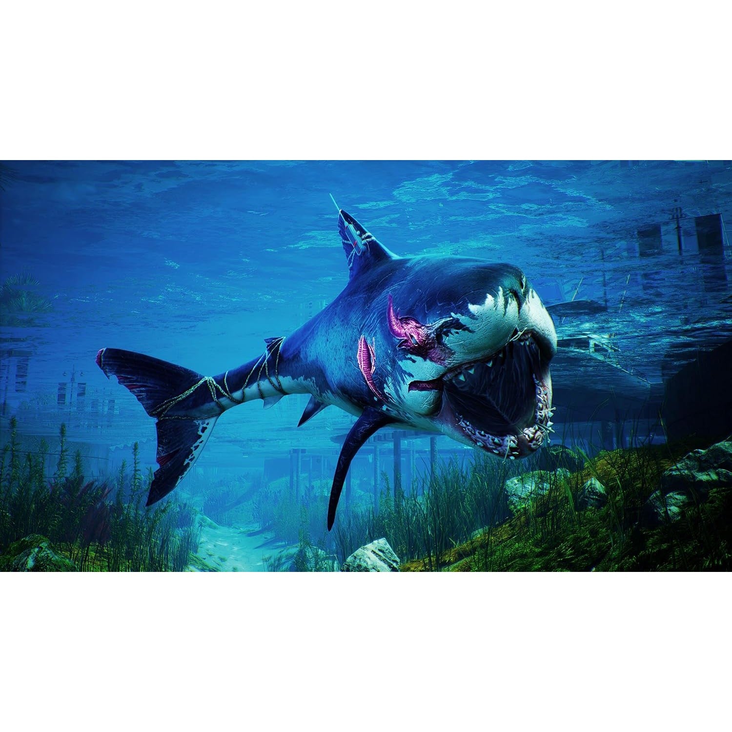 Maneater - PlayStation 5 - Deep Silver
