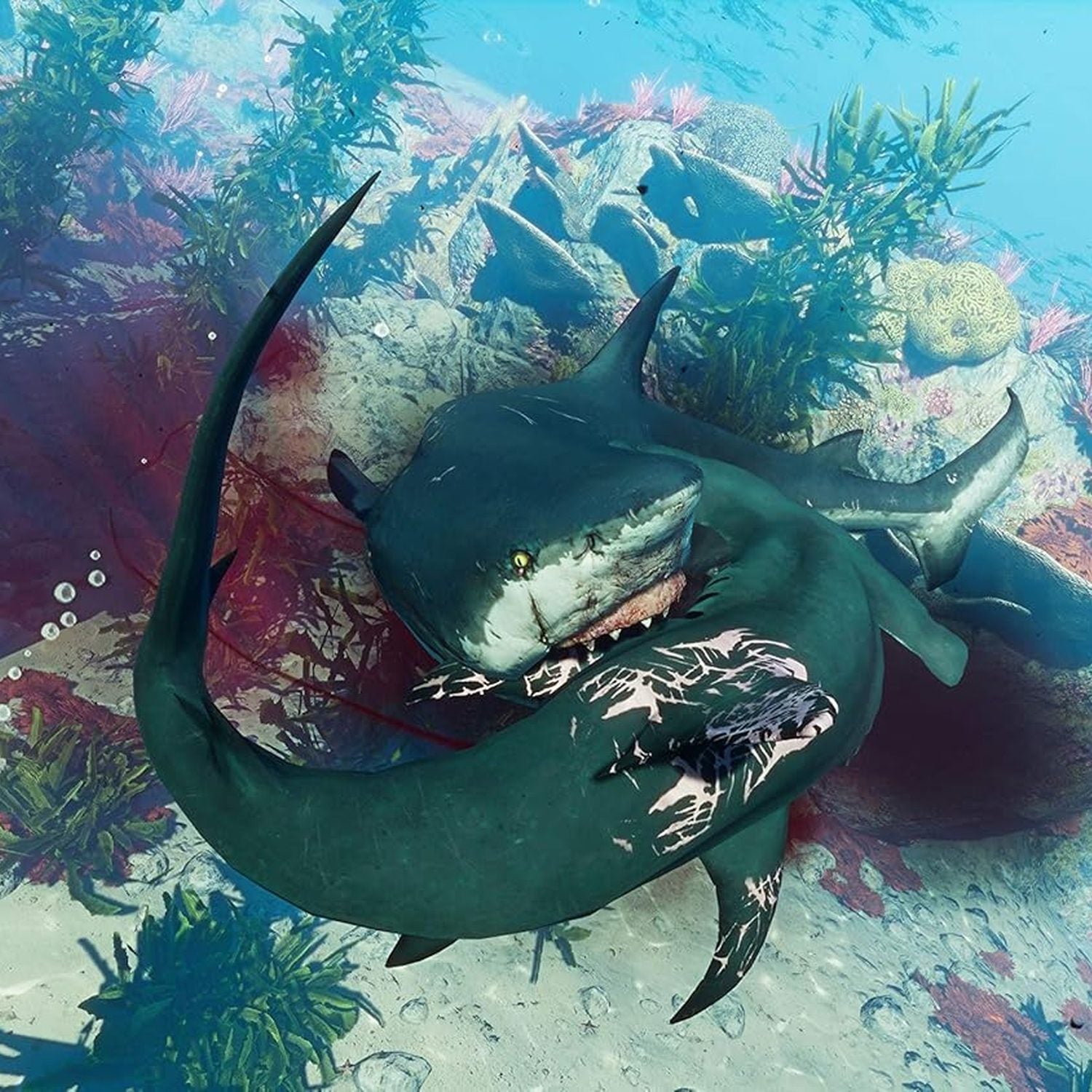 Maneater - PlayStation 4 - Deep Silver