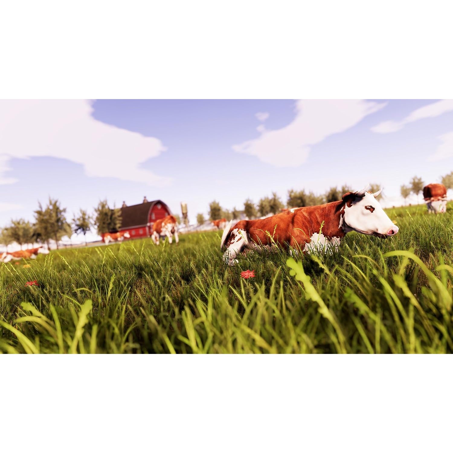 Real Farm - Xbox One - Soedesco