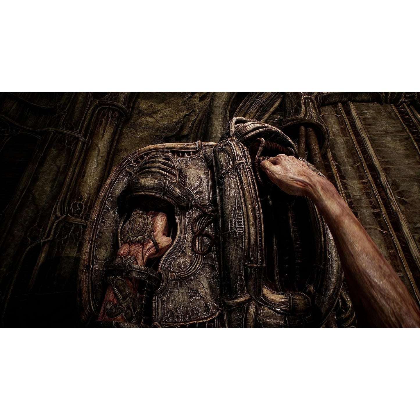 Scorn Deluxe Edition - PlayStation 5, PlayStation 4 - Maximum Entertainment