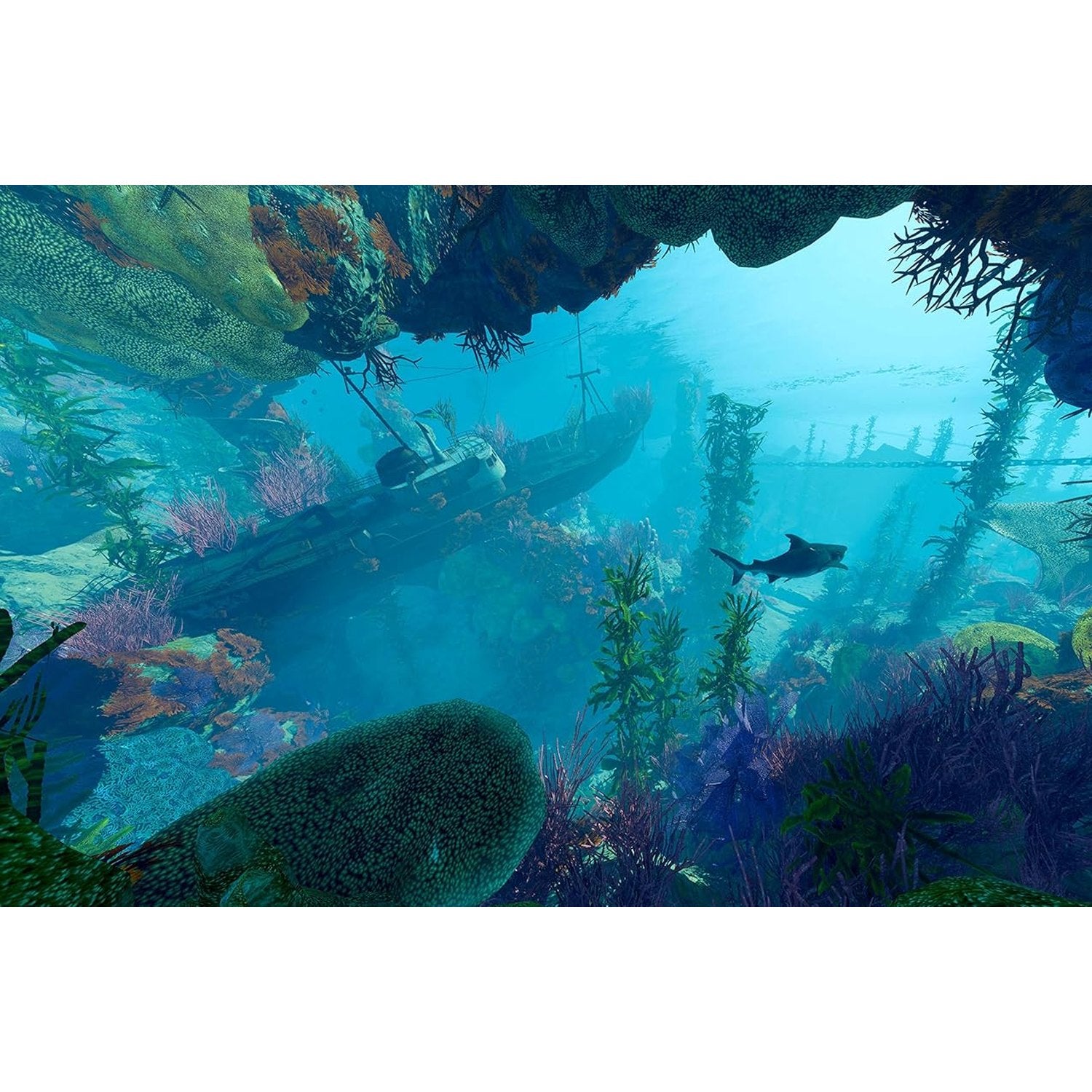 Maneater - PlayStation 4 - Deep Silver