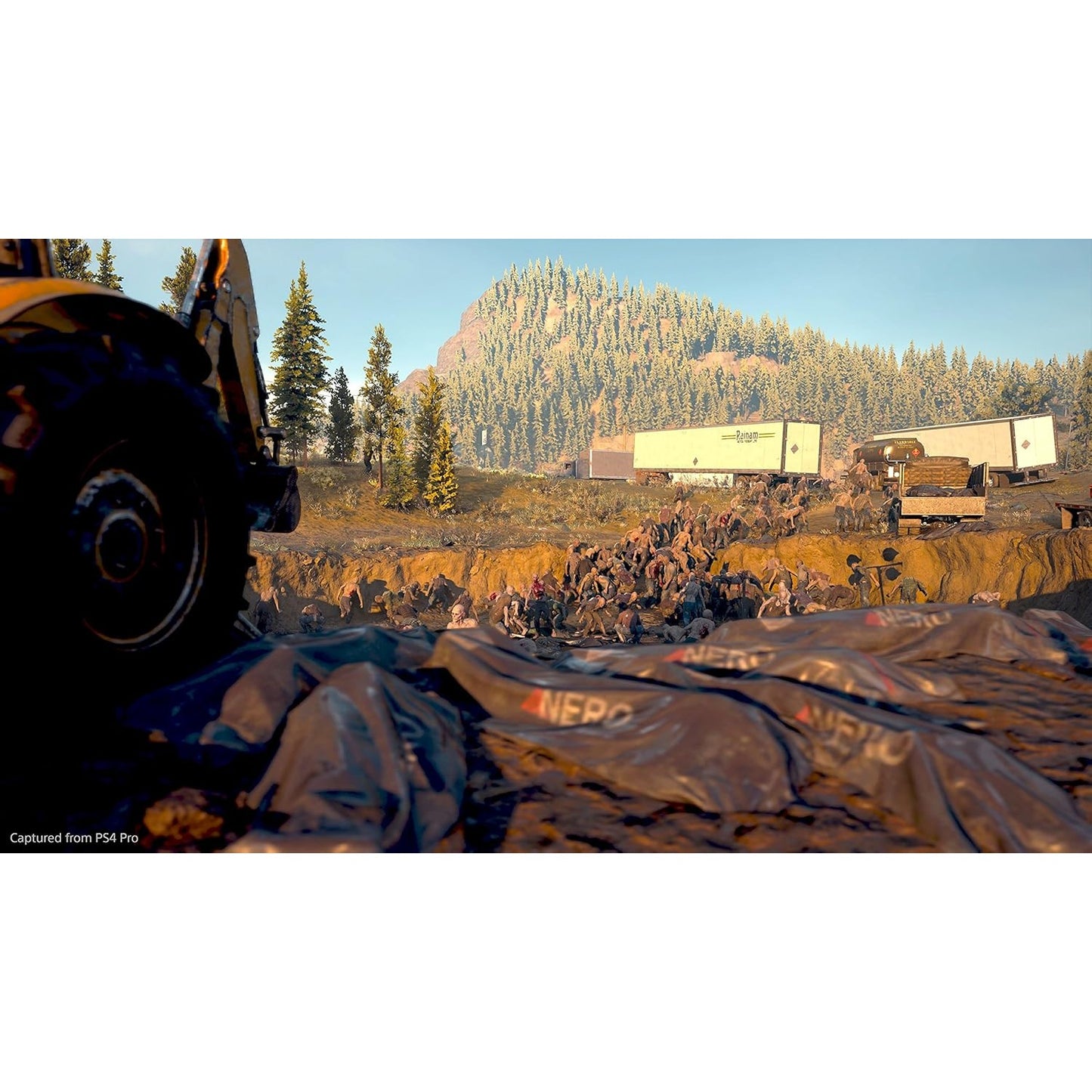 DAYS GONE PS4
