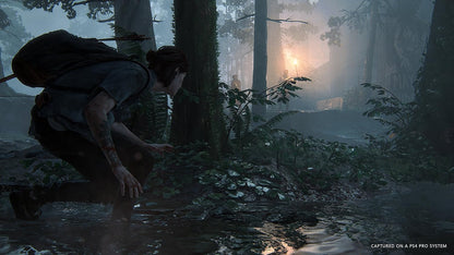 The Last of Us Part II - PlayStation 4 - Sony Computer Entertainment