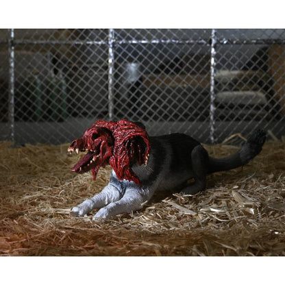 The Thing 1982 Ultimate Dog Creature Set - NECA