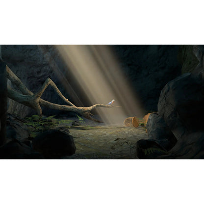 Colossal Cave - Nintendo Switch - Cygnus Entertainment, Limited Run Games