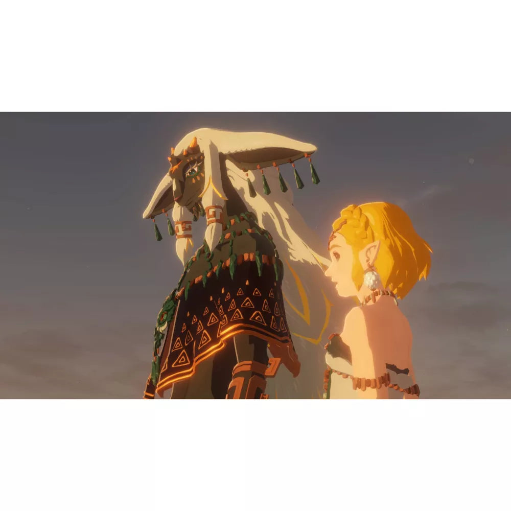 Hyrule Warriors: Age of Imprisonment - Nintendo Switch 2