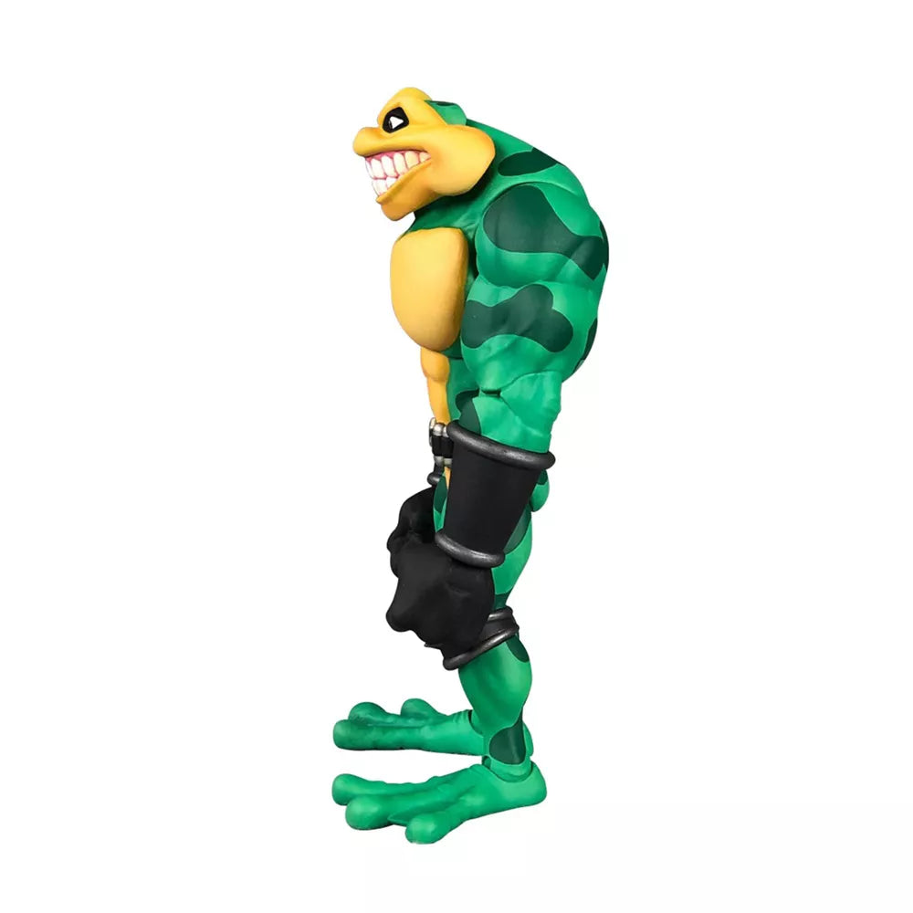 Battletoads Anthology Collection Wave 1 Zitz Action Figure - Premium DNA Toys