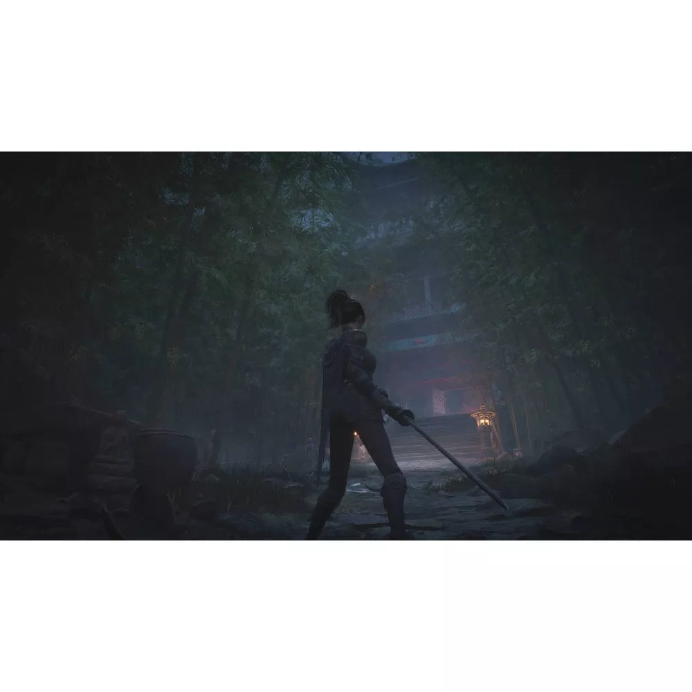Wuchang: Fallen Feathers - PlayStation 5 - 505 Games