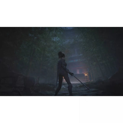 Wuchang: Fallen Feathers - PlayStation 5 - 505 Games