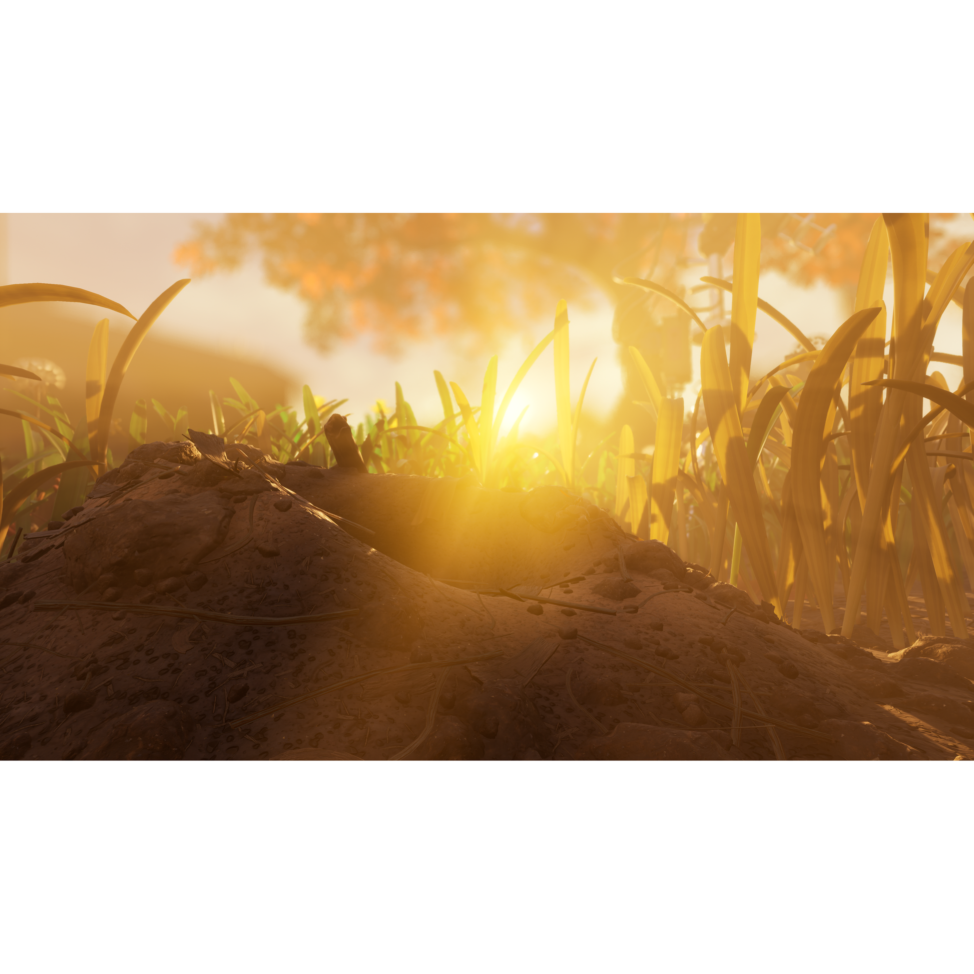 Grounded Fully Yoked Collectors Ed Nintendo Switch