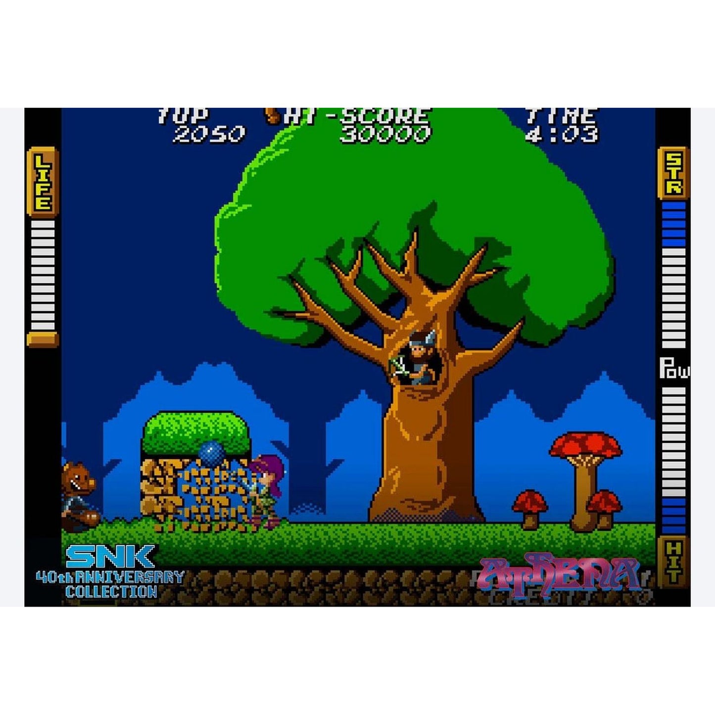SNK 40th Anniversary Collection - Nintendo Switch - NIS America