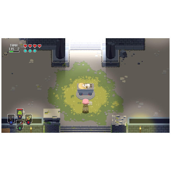 Sword of the Necromancer - Nintendo Switch - Limited Run Games