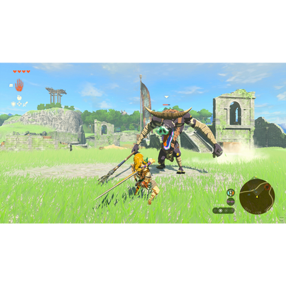 Legend of Zelda Tears of the Kingdom NS2 Edition