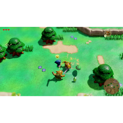Legend of Zelda: Echoes of Wisdom - Nintendo Switch