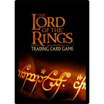 Lord of the Rings Trading Card Game @ The PlaySpace!