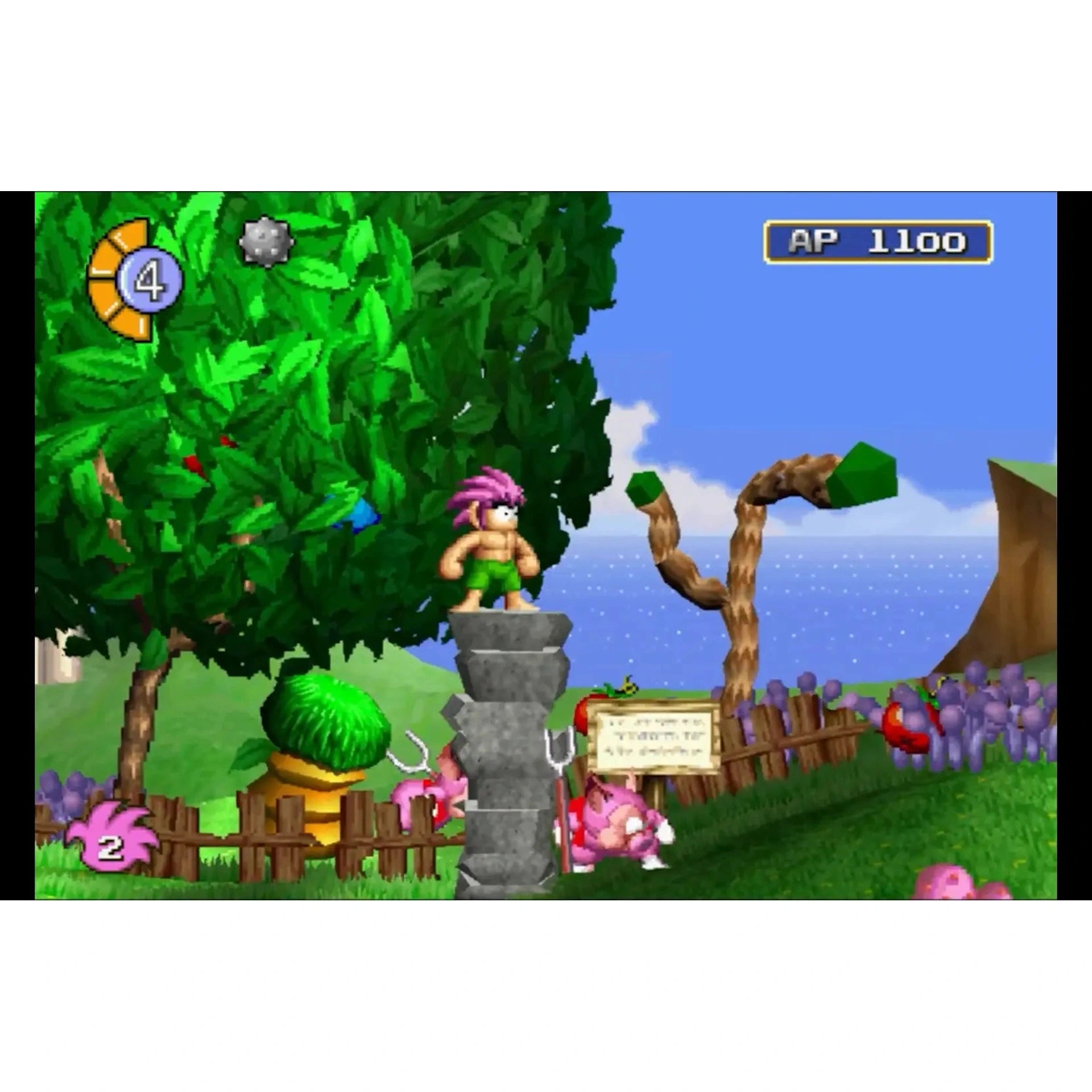 Tomba! Special Edition - Nintendo Switch - Limited Run #245