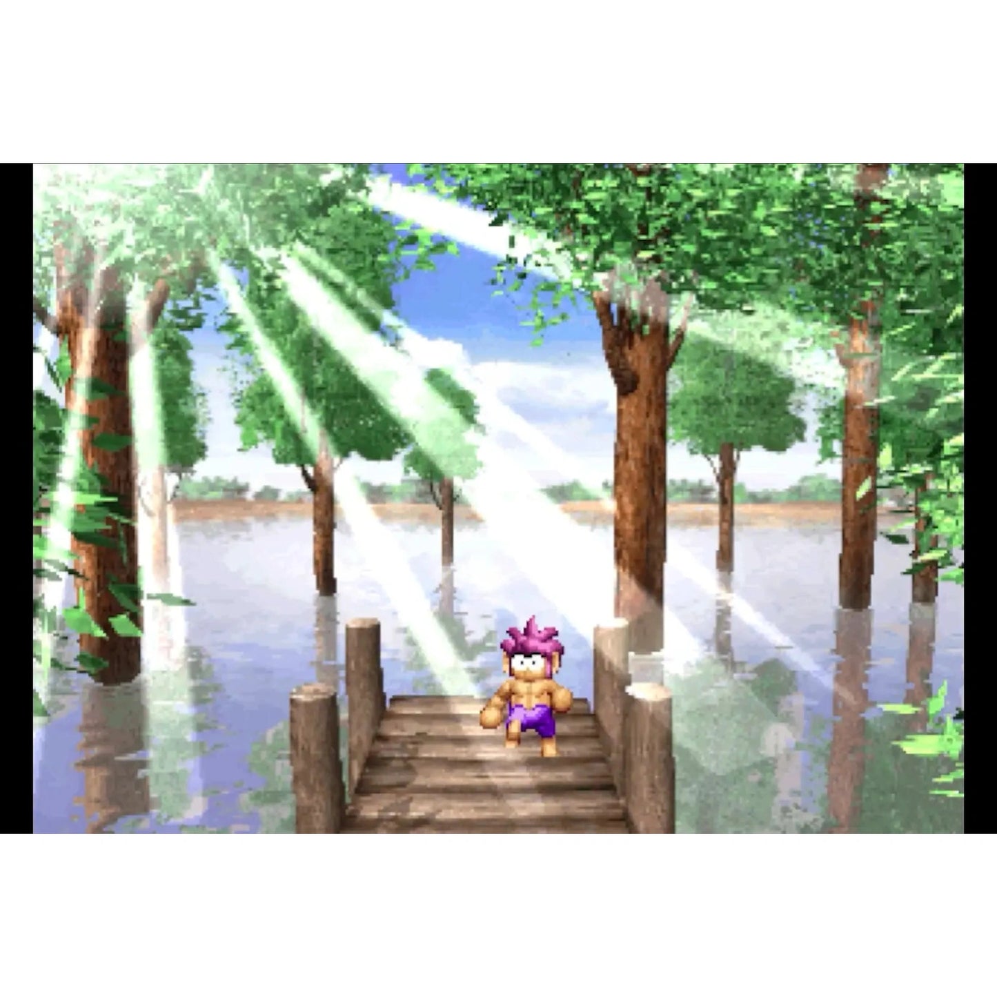 Tomba! Special Edition - Nintendo Switch - Limited Run #245