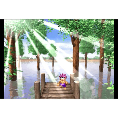 Tomba! Special Edition - Nintendo Switch - Limited Run #245